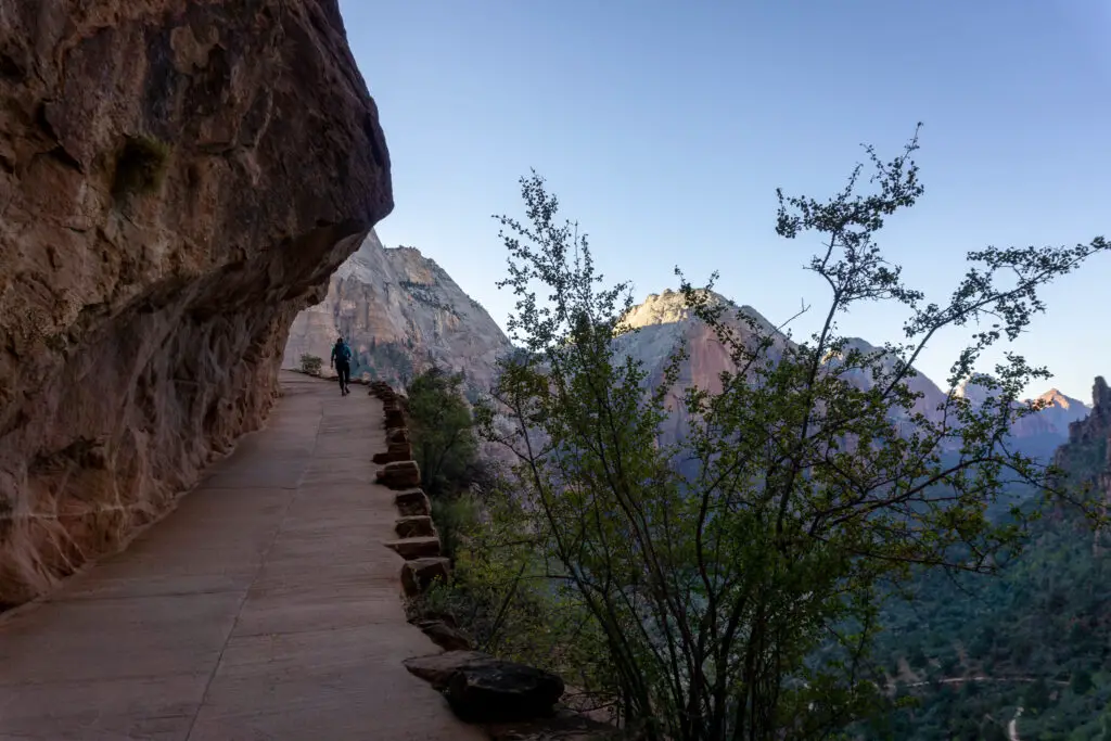 Hiker walking up the first switchback of Angels Landing track