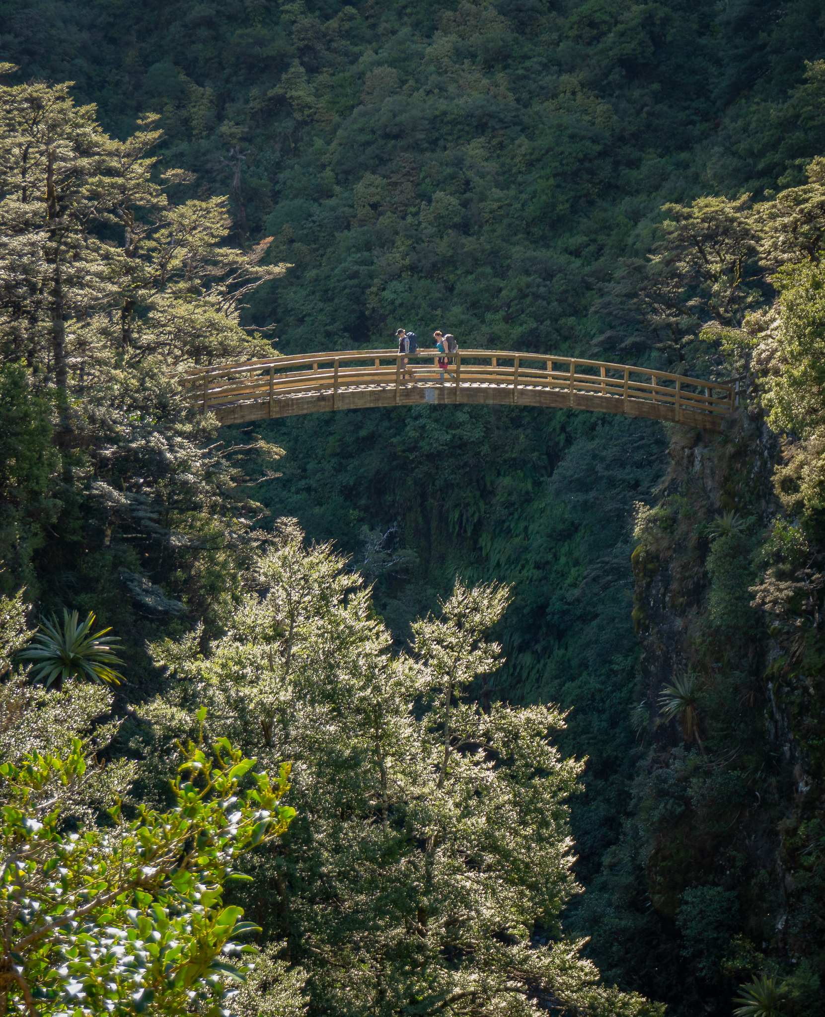 Two trampers crossing a curved bridge above a forested gorge, coming down from Rangiwahia Hut