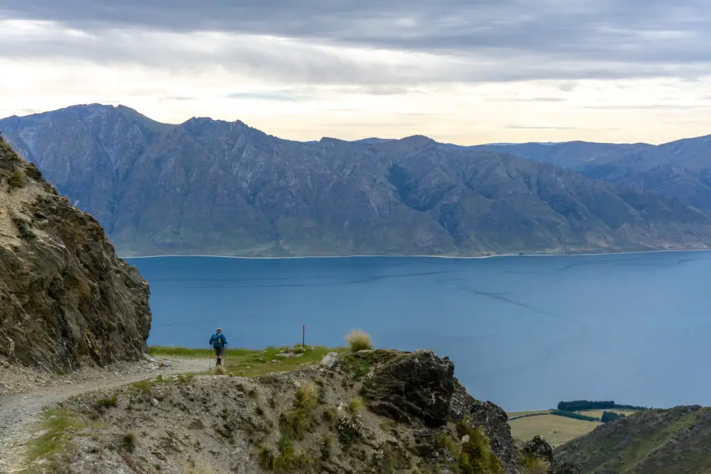 Man walking along the Isthmus Peak track with Lake Hawea in the background