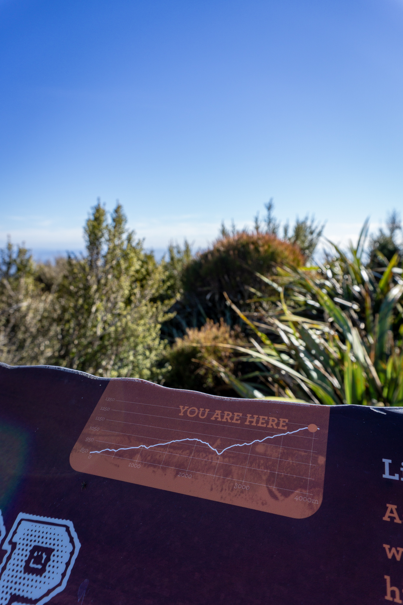 Close-up of a sign on Rangiwahia Hut track saying "you are here" at the top of an elevation profile graph