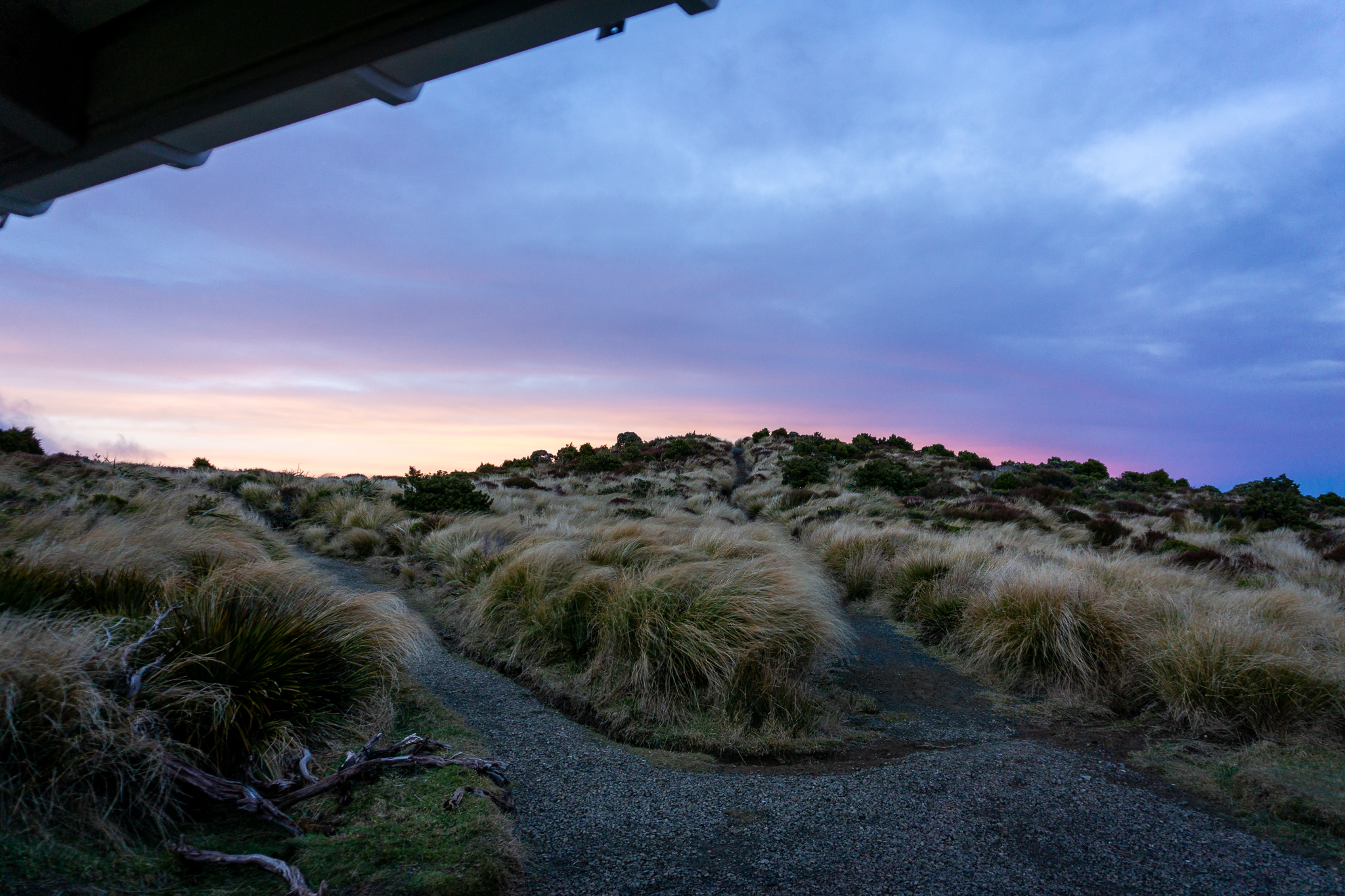 Purple and gold sunset over the tussocks from the deck of Rangiwahia Hut
