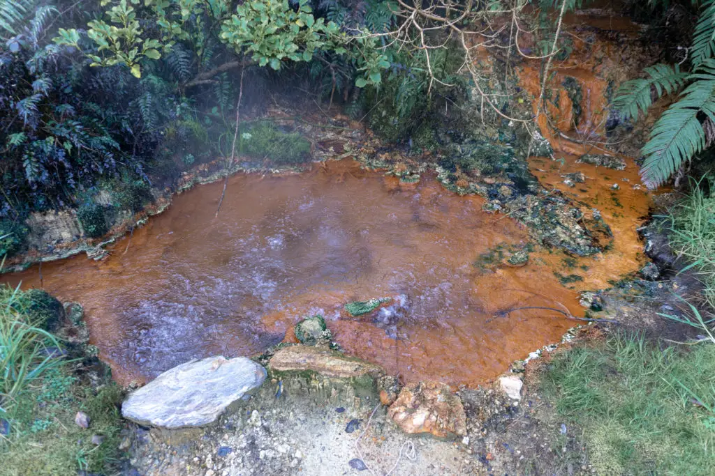 Source of the hot pools; a bubbling and steaming spring with orange mud