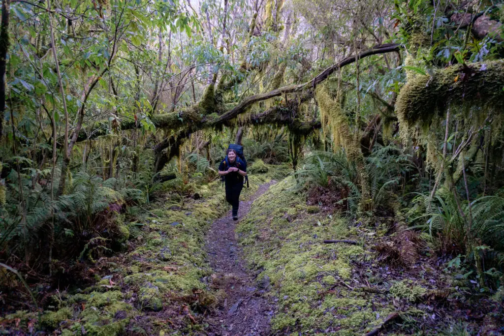 Female hiker with pack walking along the Copland Track with mossy forest surrounding