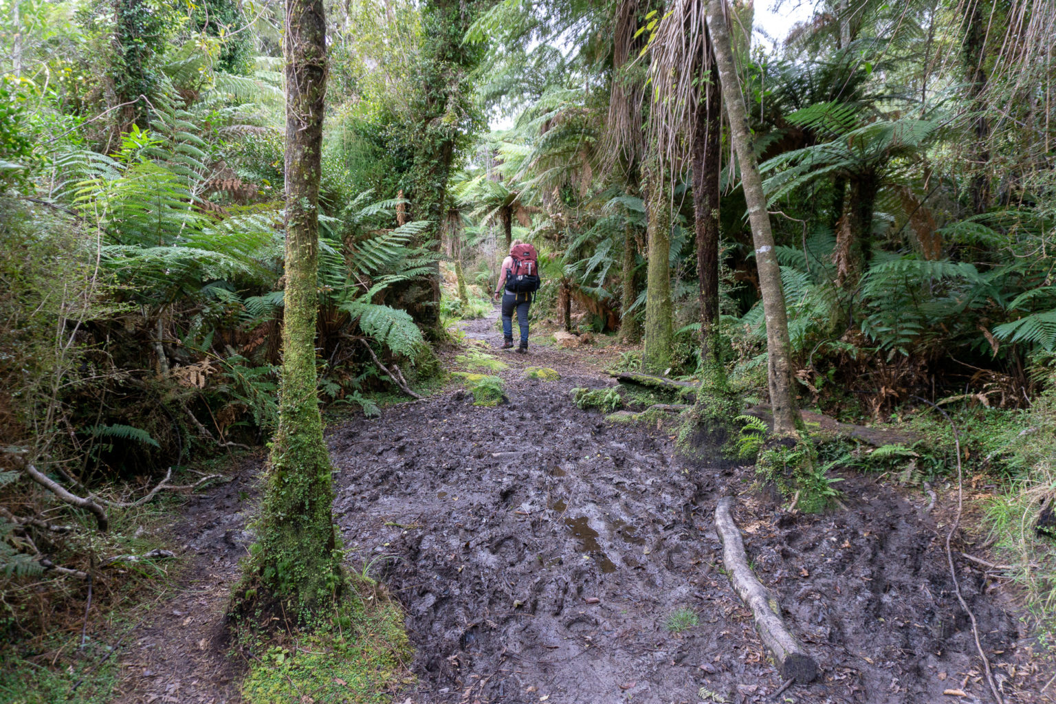 Copland Track: how to soak your worries away in natural hot pools