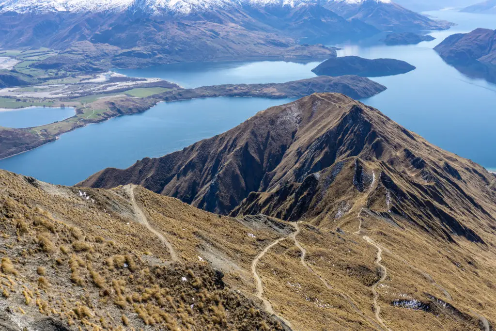 View of Roys Peak track winding its way up the ridge from the summit, with views of Lake Wanaka in the background