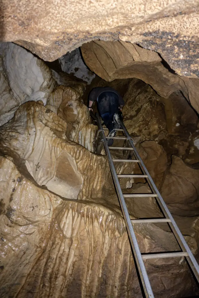 Caver at the top of a ladder in Clifden Caves with interesting rock formations