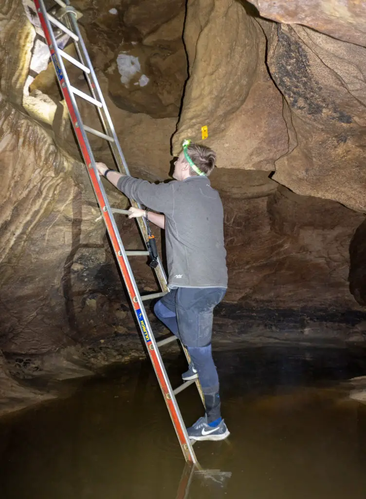 A man climbing a ladder in the caves