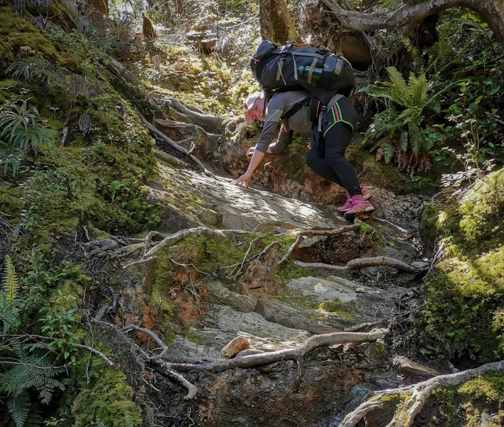 Female tramper with a pack climbing down steep rock and tree roots on Brewster Track