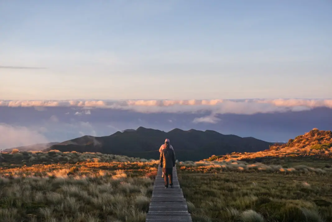 Sunset on the Hump Ridge Track above Okaka Lodge