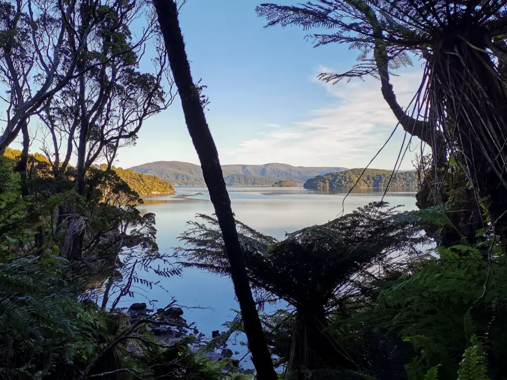 View of North Arm on Stewart Island from the track between North Arm Hut and Freshwater Hut