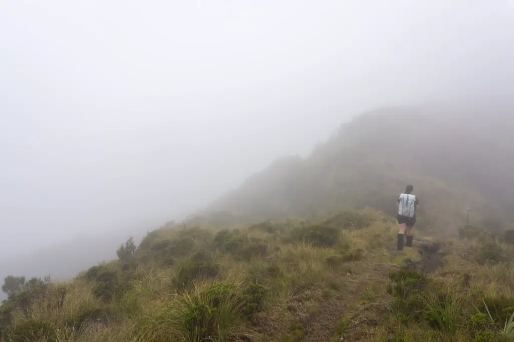 Hiker walking along the Mount Fox route in low cloud