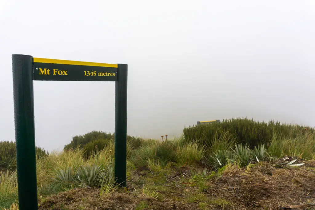Summit of Mount Fox marked with a DOC sign and surrounded by low cloud