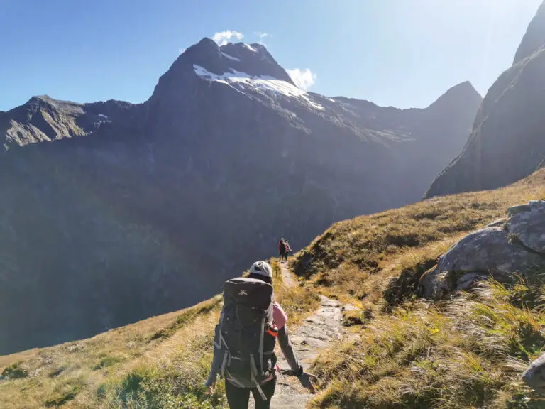 The Milford Track Everything You Need To Know Alice Adventuring   Milford Track 26 768x576 