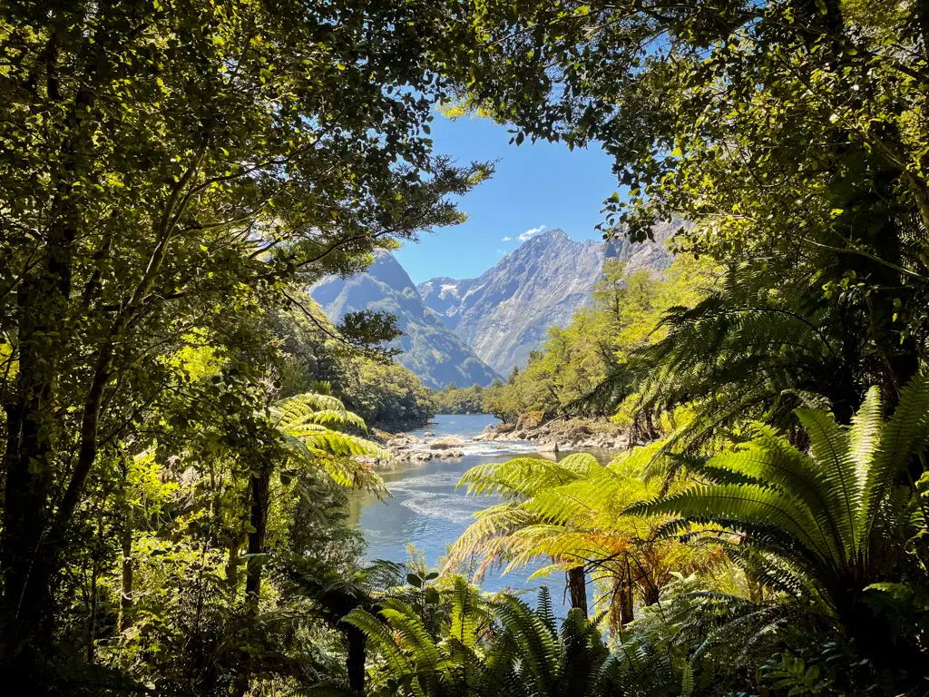 Classic view of the Arthur Valley on the Milford Great Walk in Fiordland National Park