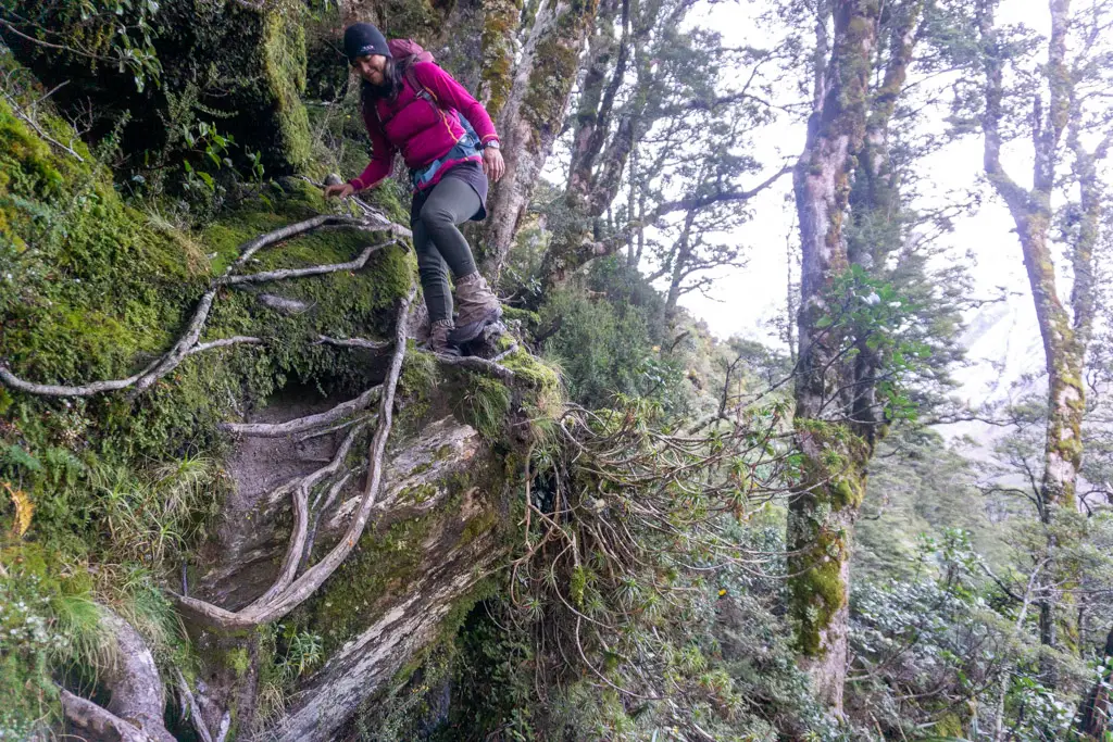 Female hiker climbing down tree roots around a boulder