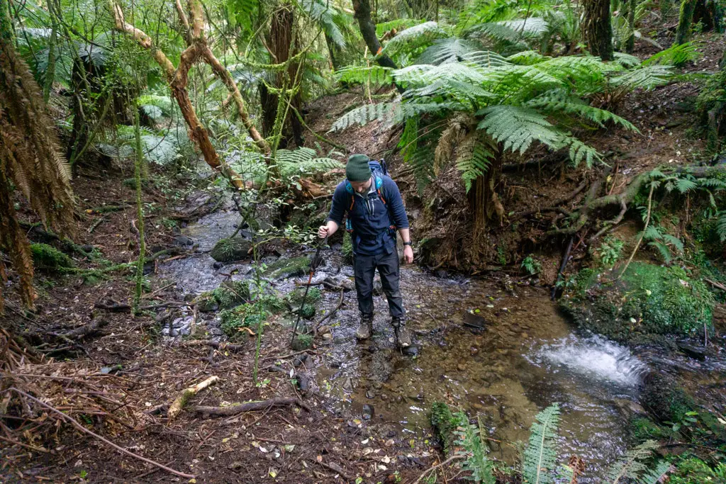 Tramper standing in a stream on the Makarewa Falls Track
