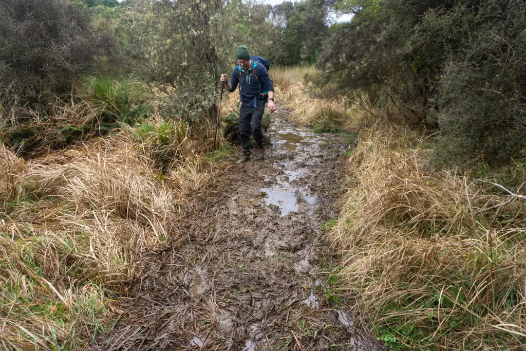 Tramper walking through muddy patch on Makarewa Falls Track