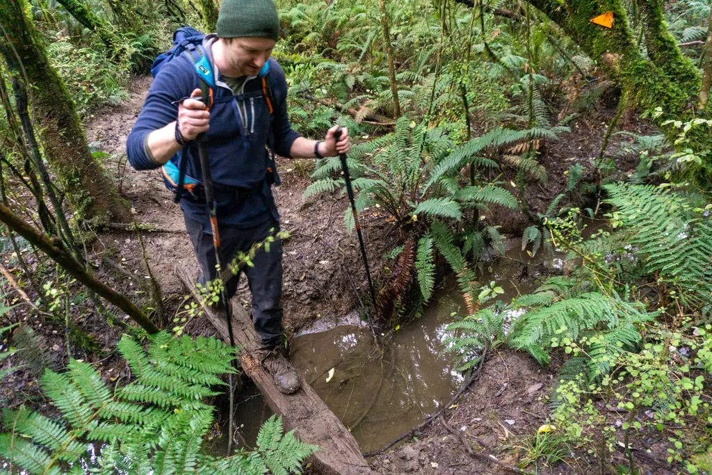 Man crossing a small stream in Hokonui Forest Conservation Area