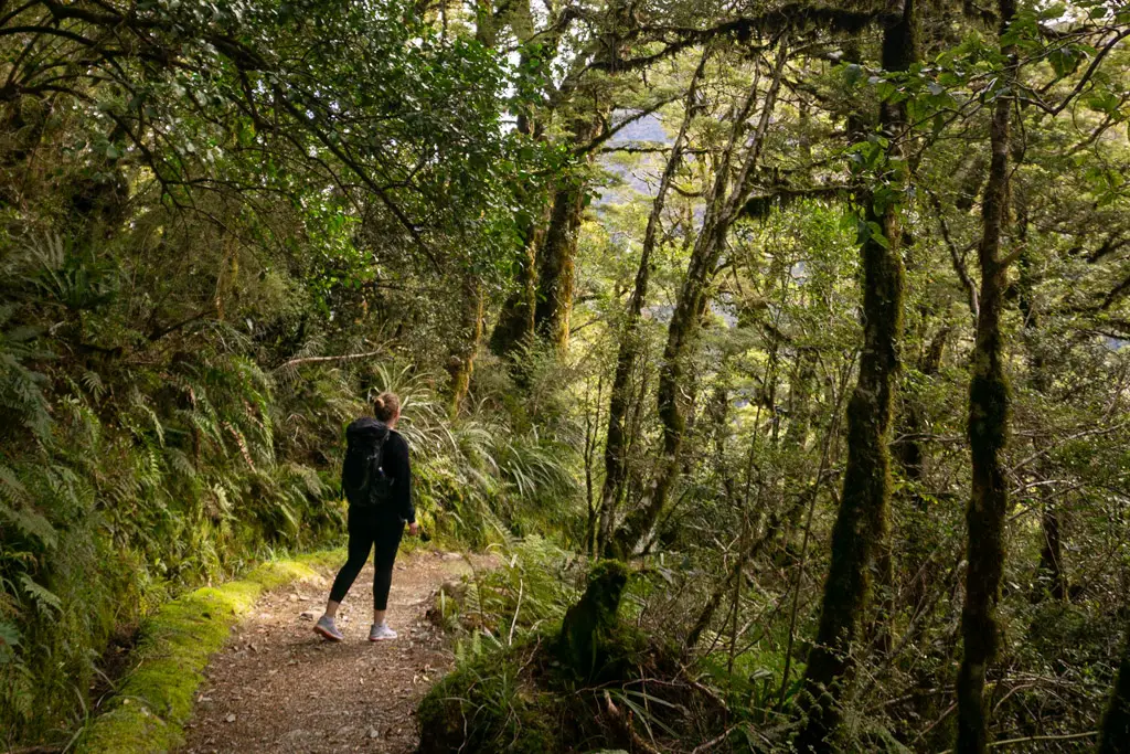Woman hiking in lush rainforest on Key Summit / Routeburn Track in Fiordland National Park