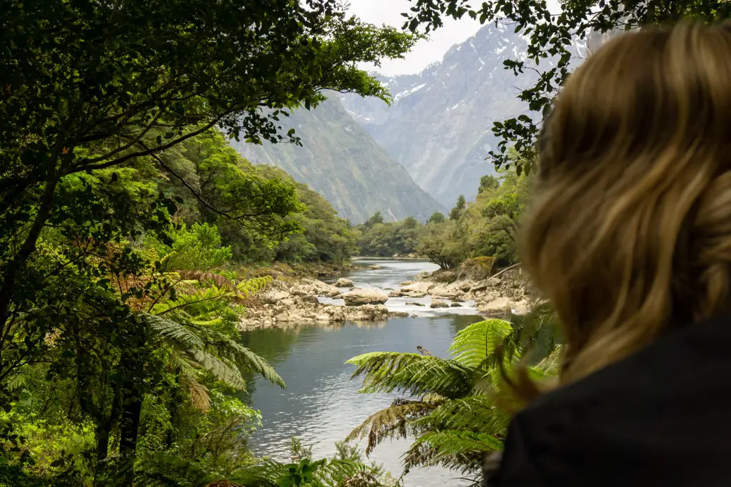 Lady looking at view of Arthur River on the Milford Track