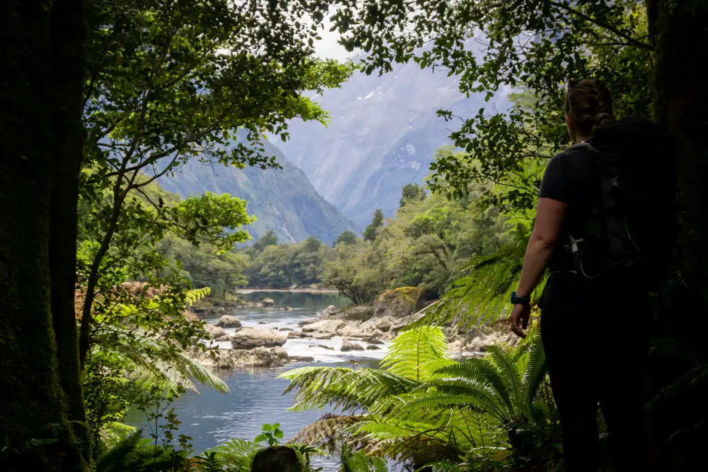 View of the Arthur River on the Milford Track