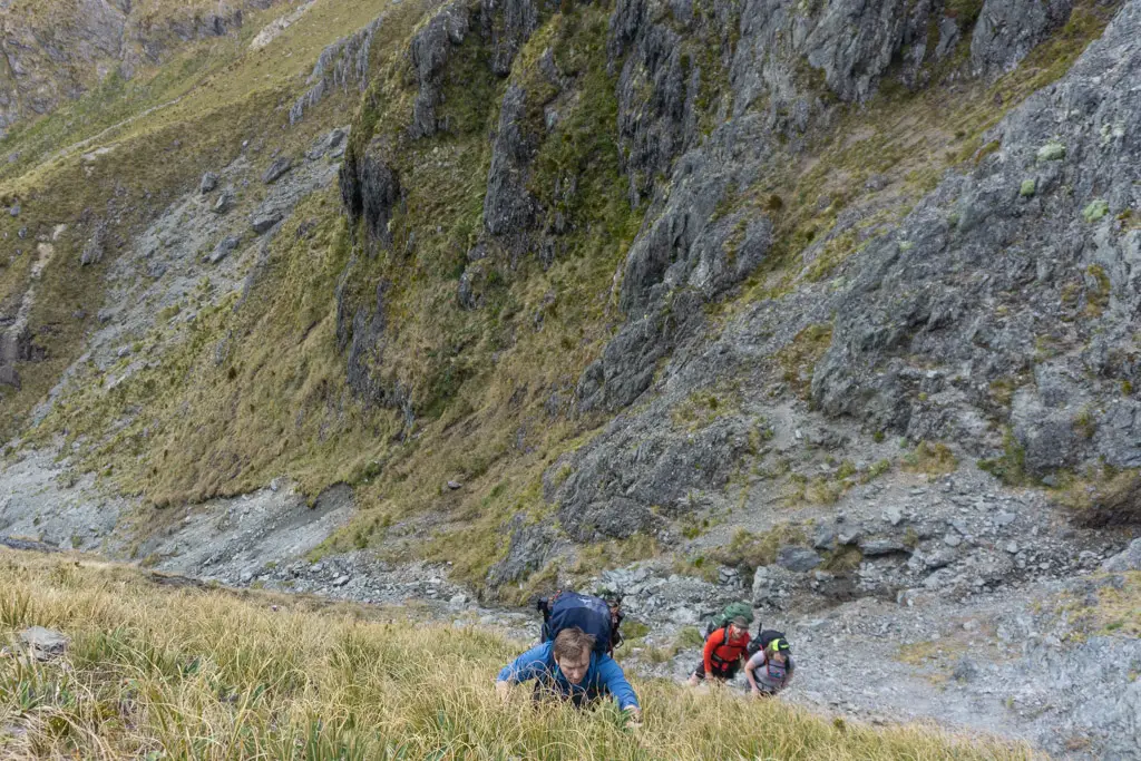 Tramper climbing up extremely steep tussocks
