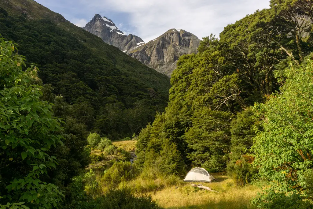 Wild camping in New Zealand