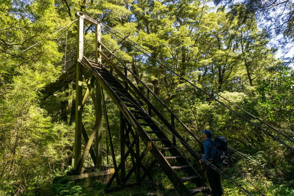 Man looking up at a high swing bridge over the north branch of the Young River on the way to Young Hut on the Wilkin-Young Circuit