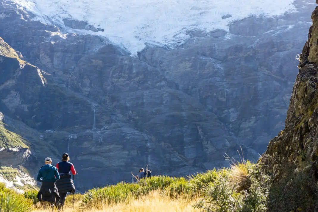 Three trampers walking through tussocks and spaniards with hanging glaciers and waterfalls in the background