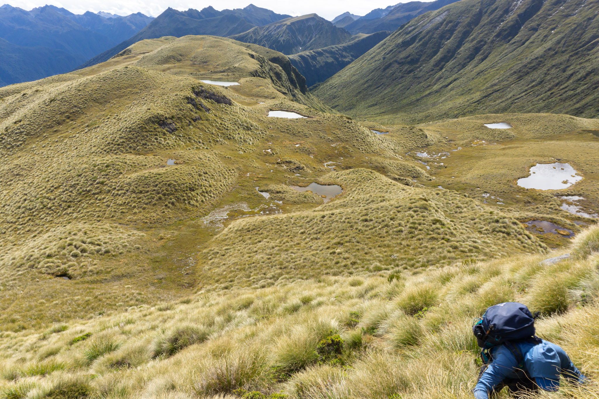 Man climbing up tussocks with the Mt Burns Tarns in the background near Borland