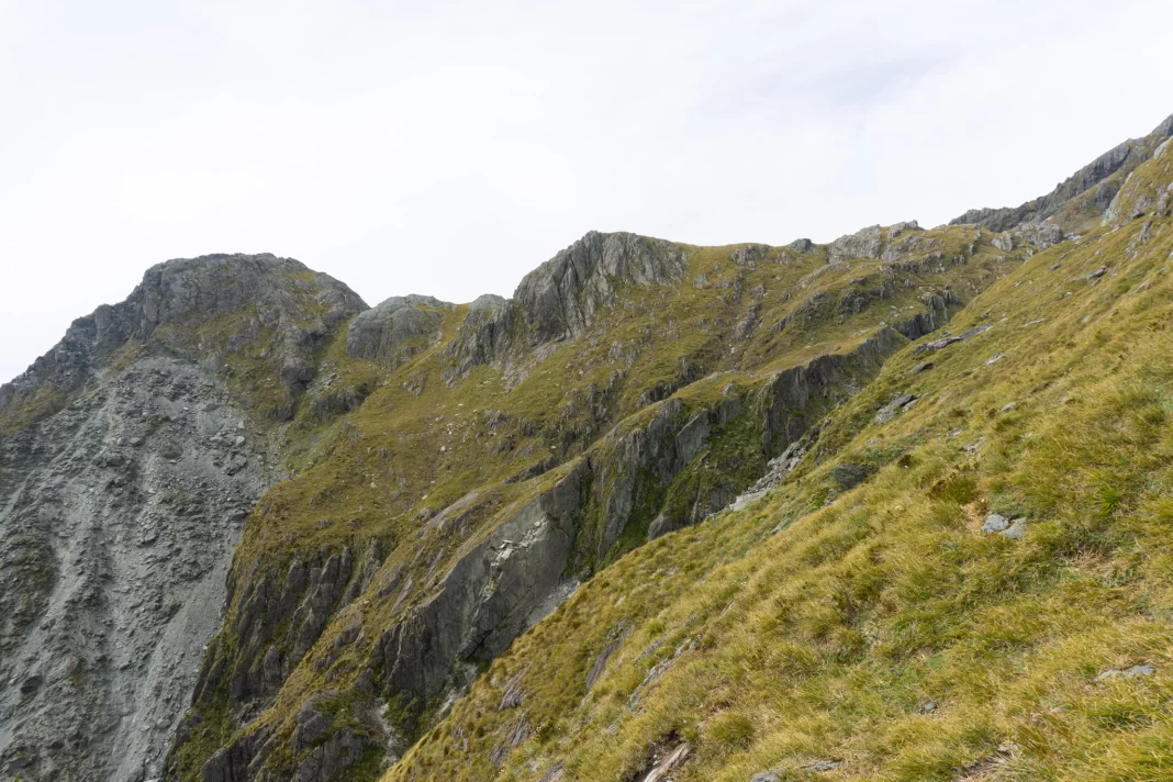 Photo of a steep tussock slope