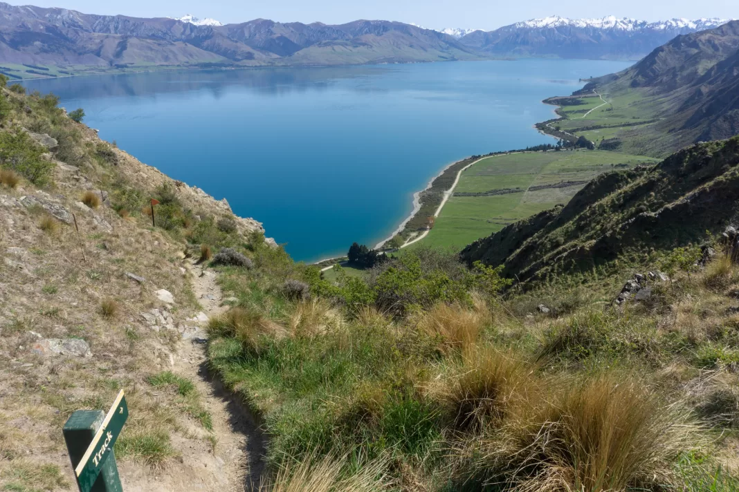 View of Lake Hawea from Breast Hill Track