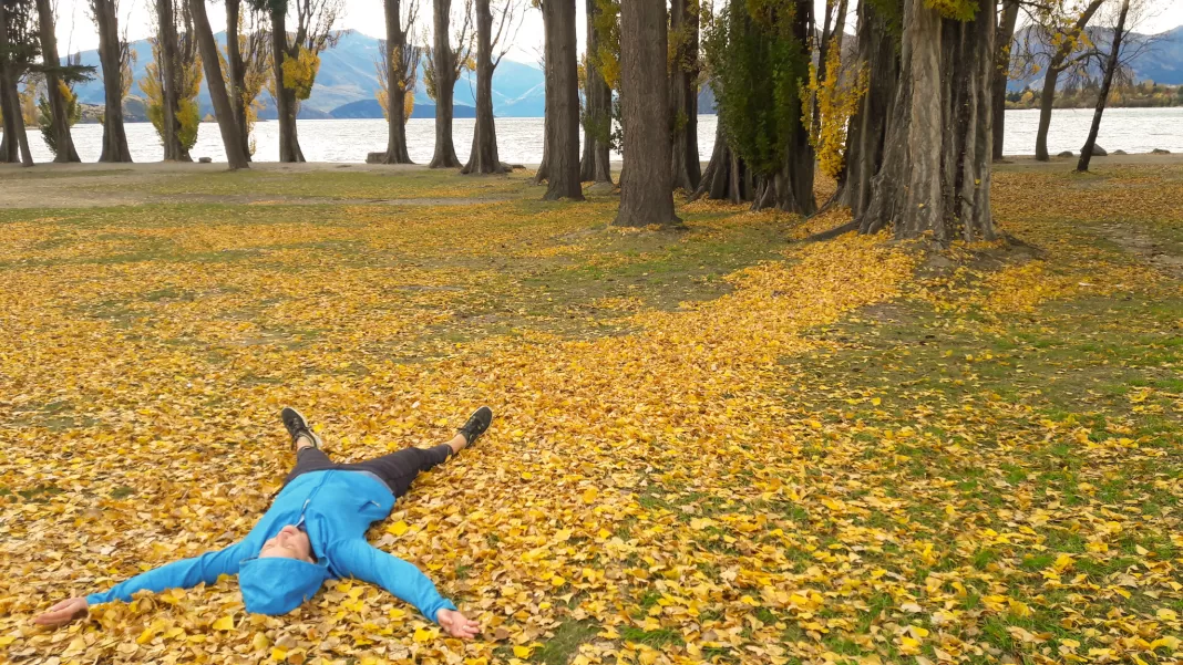 Person laying in autumn leaves in Wanaka