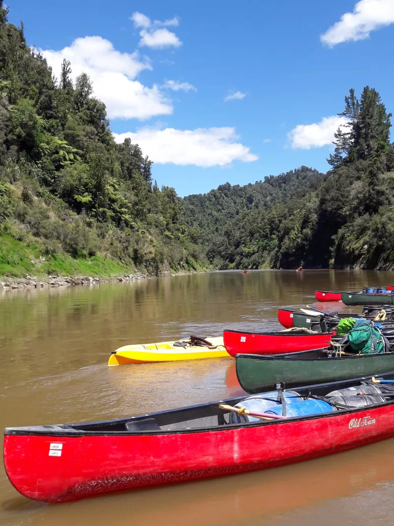 Whanganui River Journey - canoes on the river