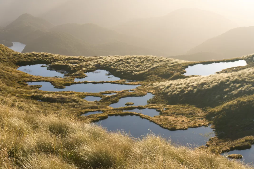 Borland Tarns, one of the best walks in Southland