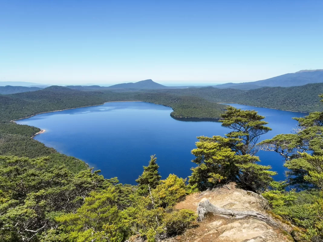 View from the Hauroko Lookout Track, one of the best Southland walks