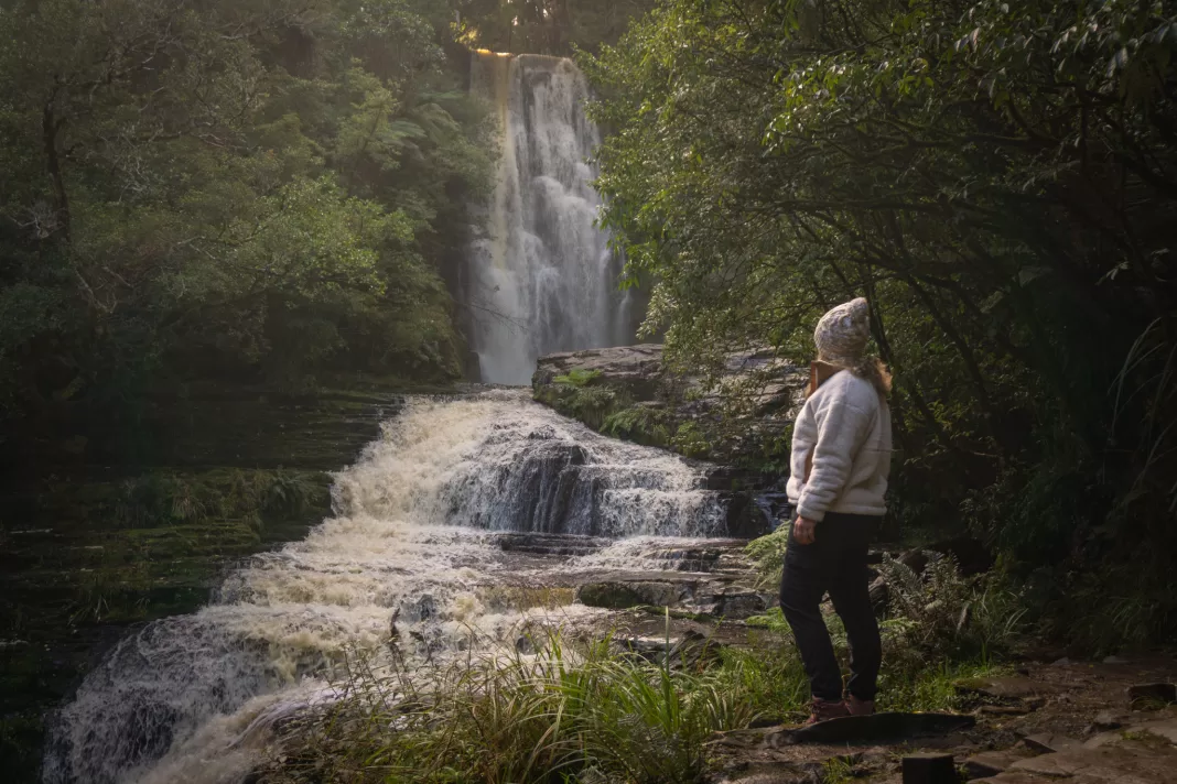 McLean Falls in the Catlins