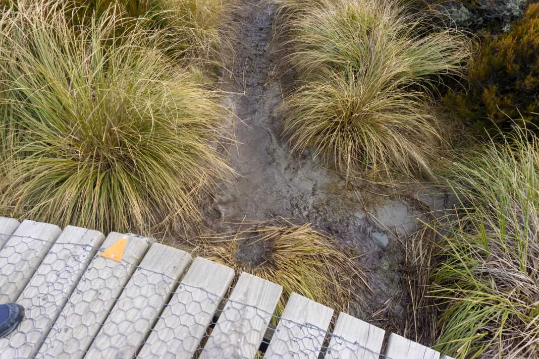 Photo of a boardwalk with a small orange track marker triangle