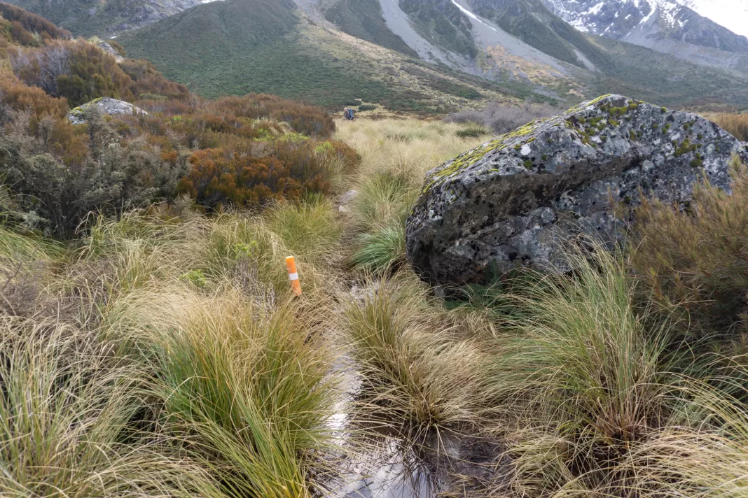 Photo of a muddy track and an orange marker pole