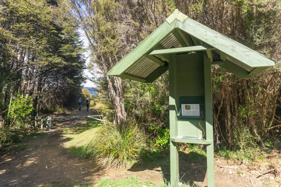 Start of track to Sylvester Hut