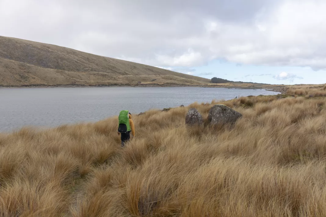 Man walking next to Lake Sylvester