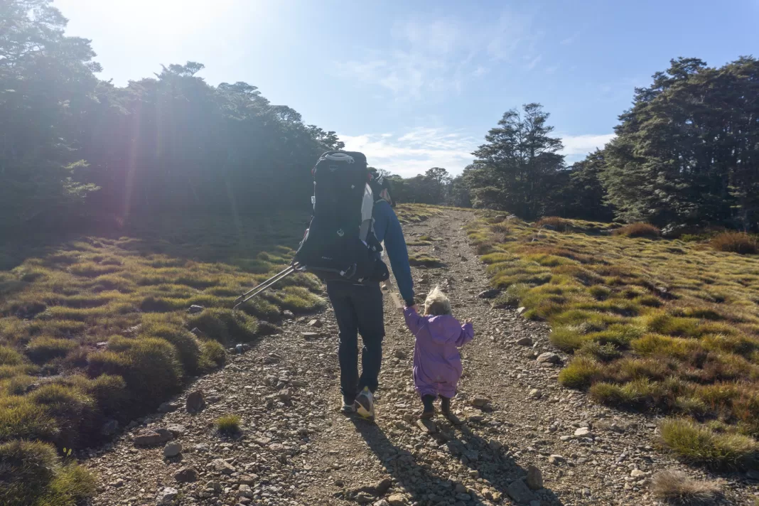 Dad and toddler walking the Sylvester Hut Track