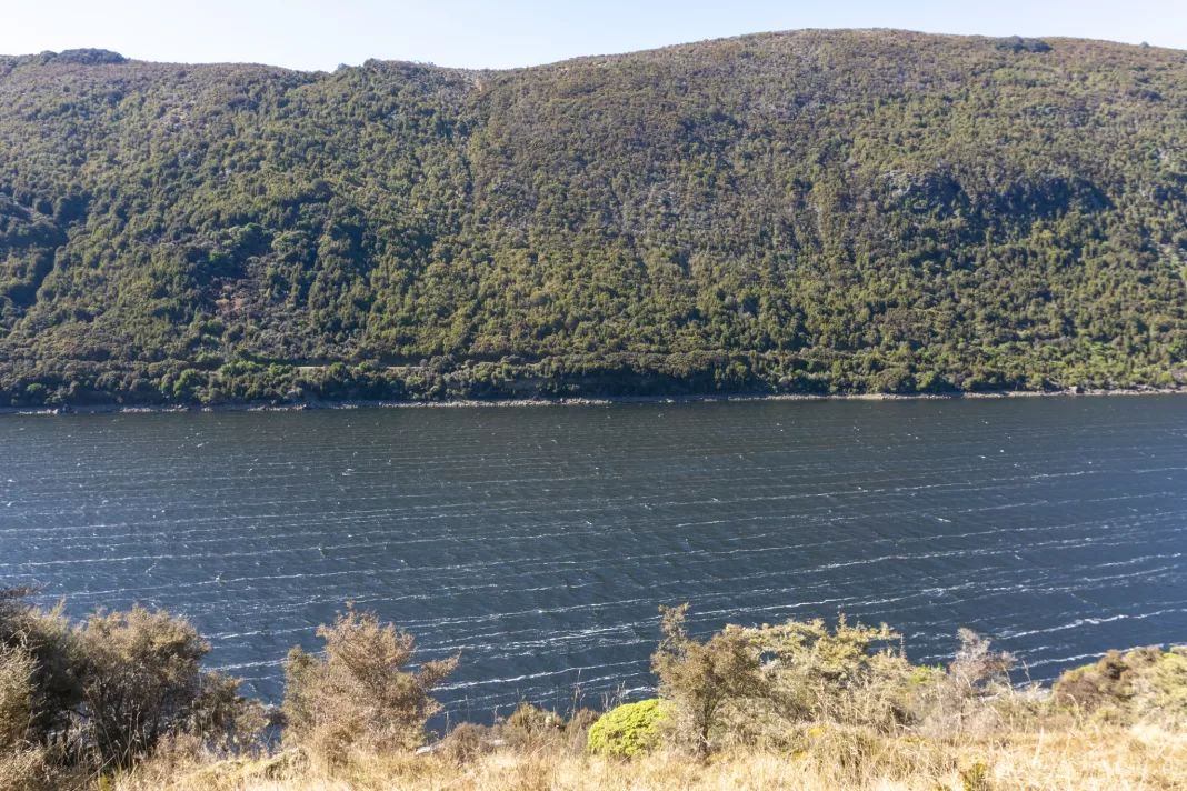 White lines on the Cobb Reservoir