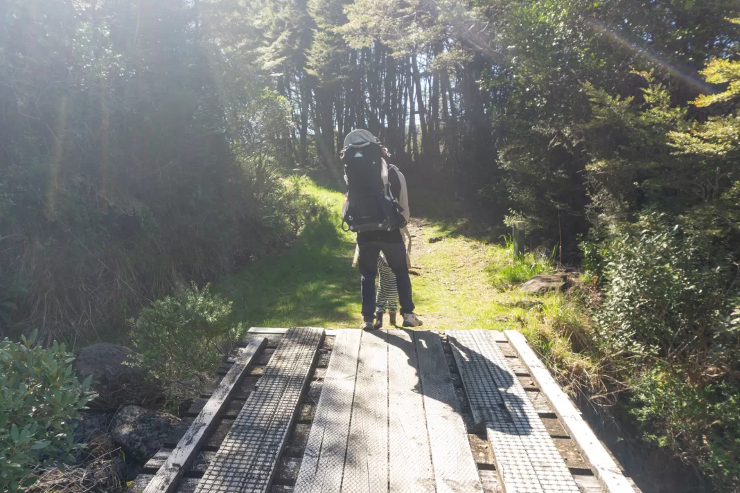 Walking over a bridge on the Lake Sylvester Track