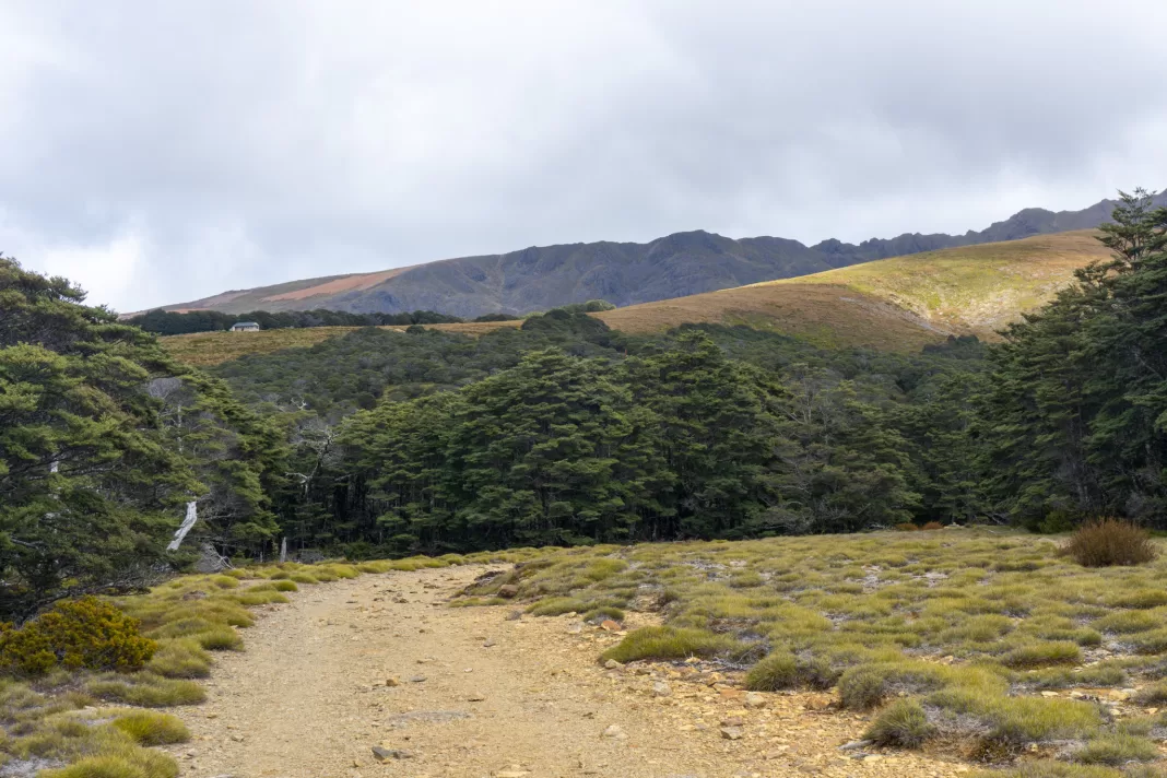 First view of Sylvester Hut from the track up