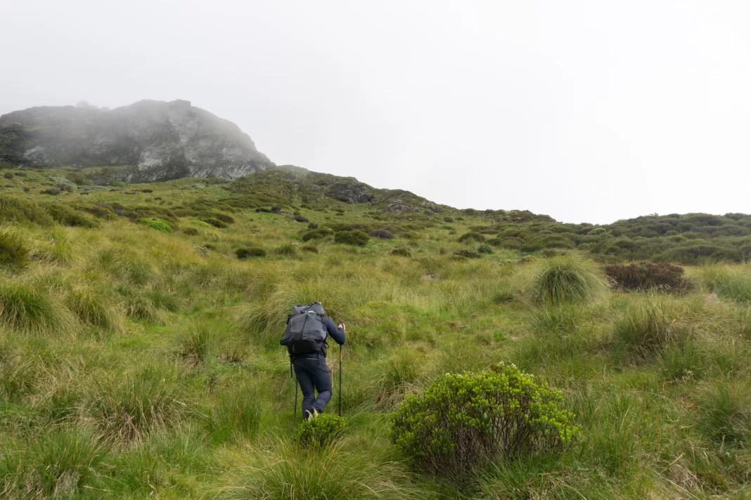 Tramper climbing up a grassy / tussocky slope with cloud covering the bluffs above