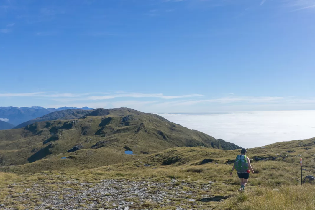 Tramper walking along the Mica Mine Tops Route to Maketake Hut