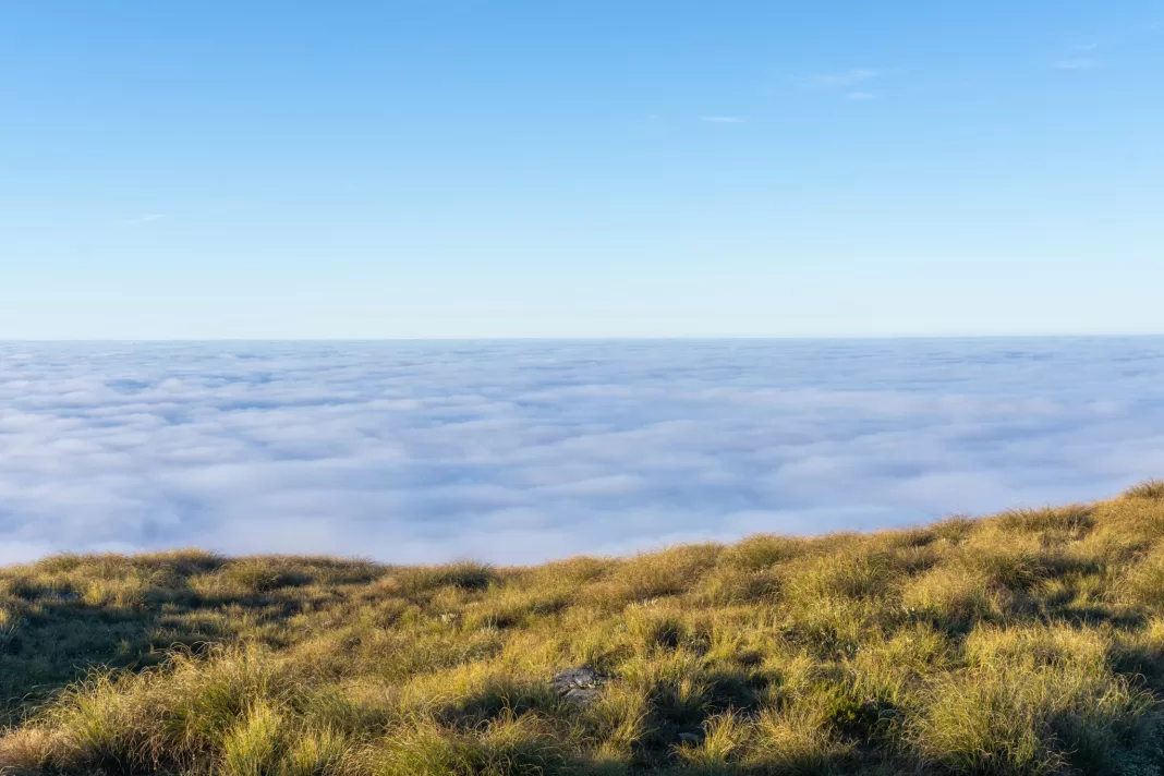 Inversion layer of clouds with tussocks in the foreground