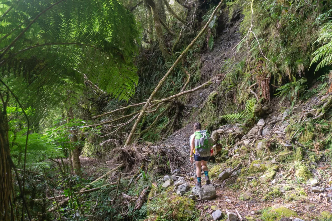 Tramper walking along the Haast to Paringa Cattle Track with a slip in front of her