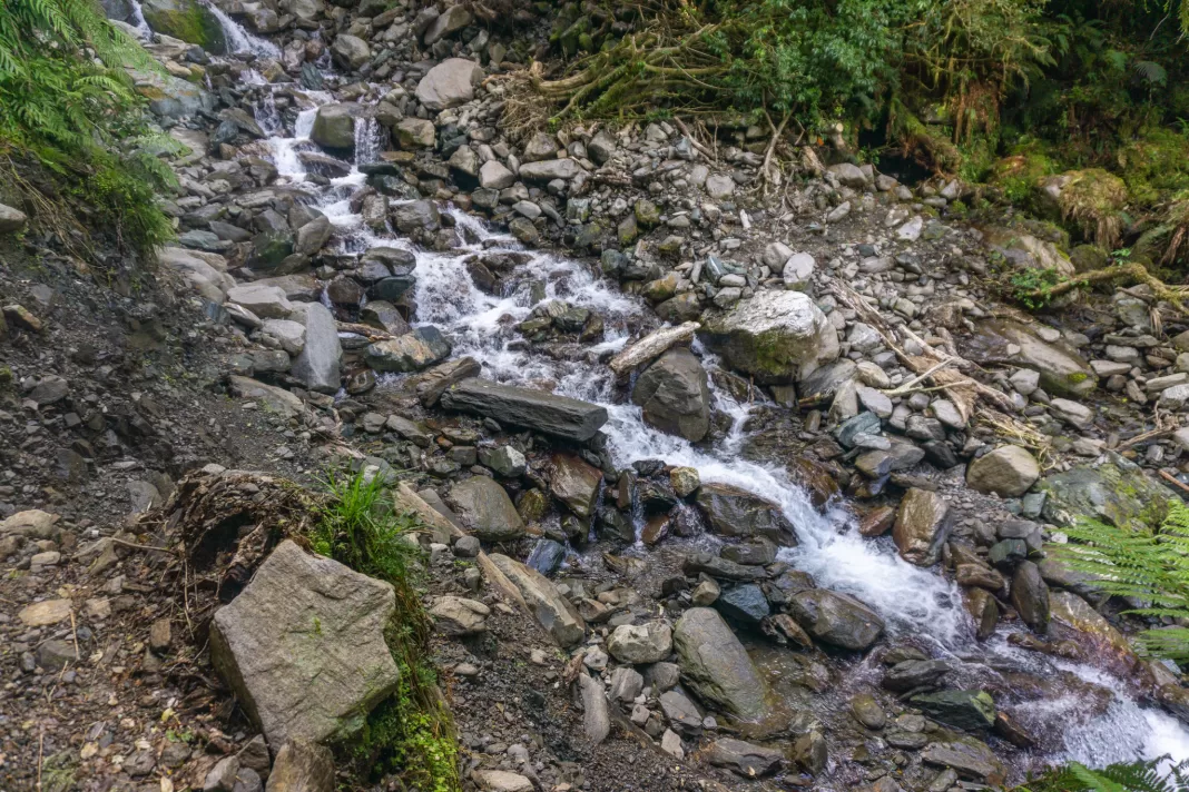 Stream crossing on the Haast to Paringa Cattle Track